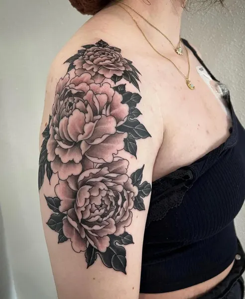 Rose, Nature, Flower