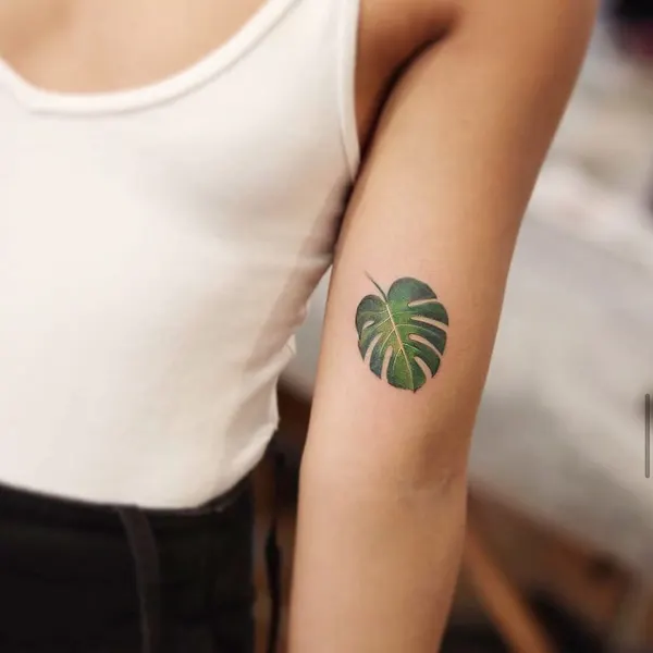 Flower, 대나무
