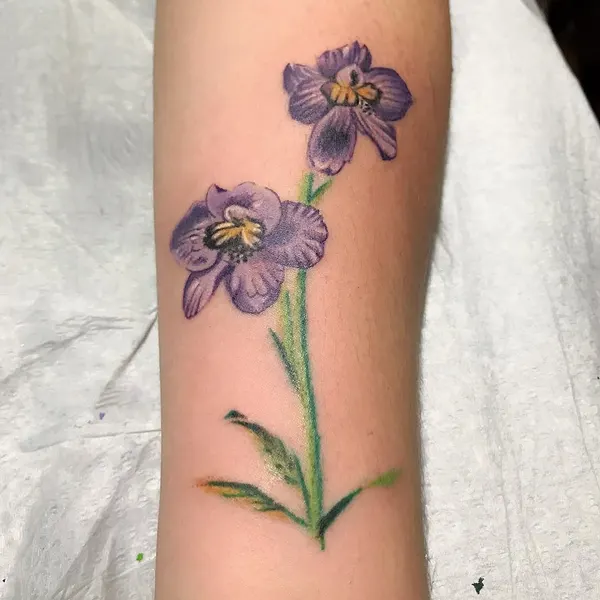 Flower, 라벤더, 야생화, 아이리스