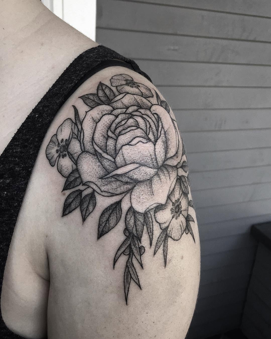 Flower, Rose, Nature