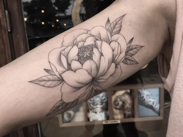 Flower, Rose