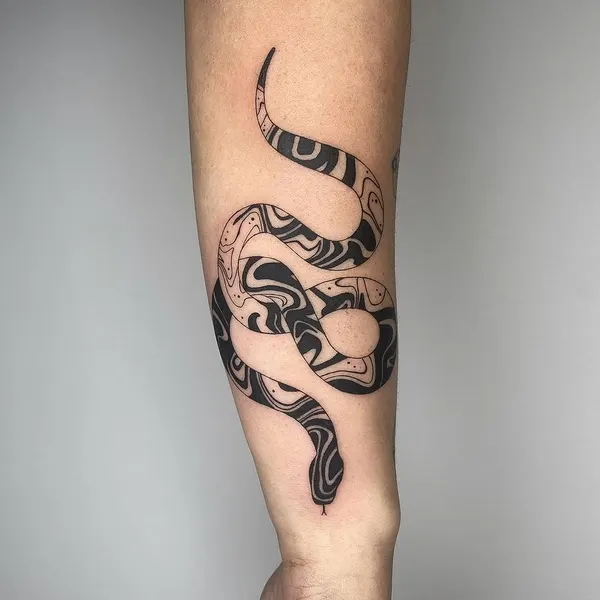 Dragon, Snake
