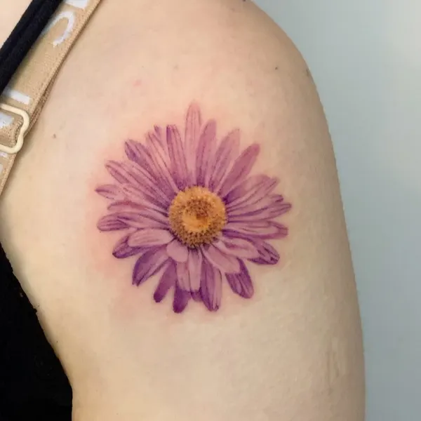 Flower, 모란, 국화, 데이지, 히비스커스
