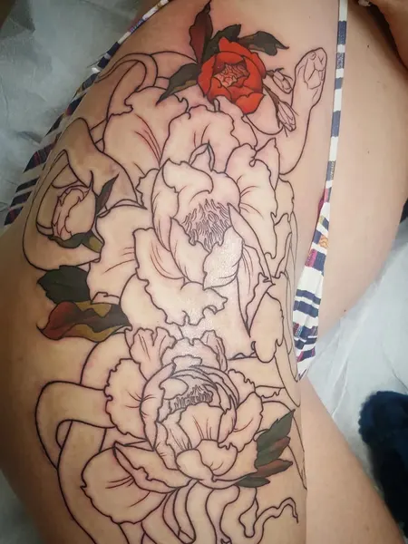 Flower, Rose