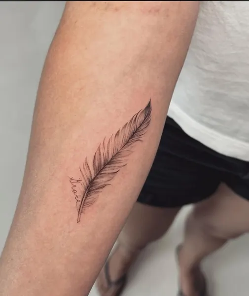 잎, Nature, 멘디, 깃털, 아이리스, 민들레