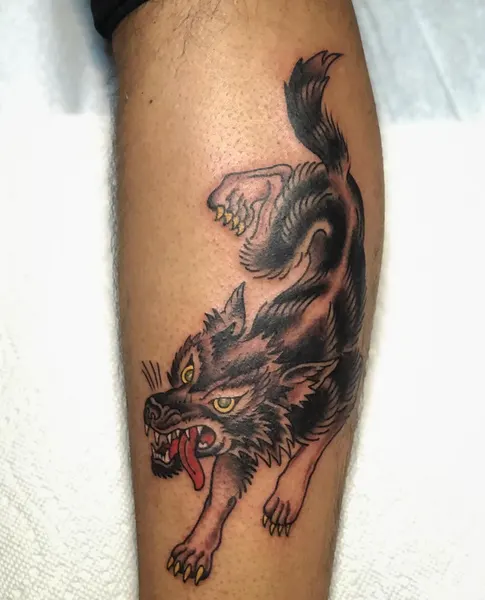 Tiger, Animal