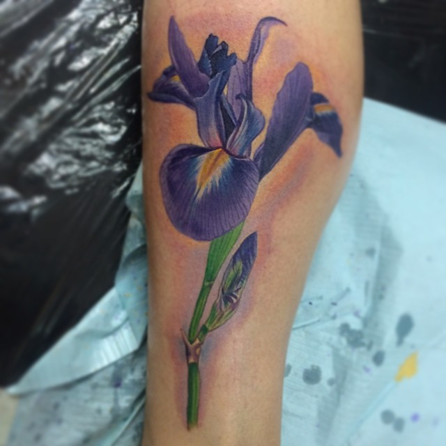 Flower, 백합, 난초, 튤립, 아이리스, 수선화