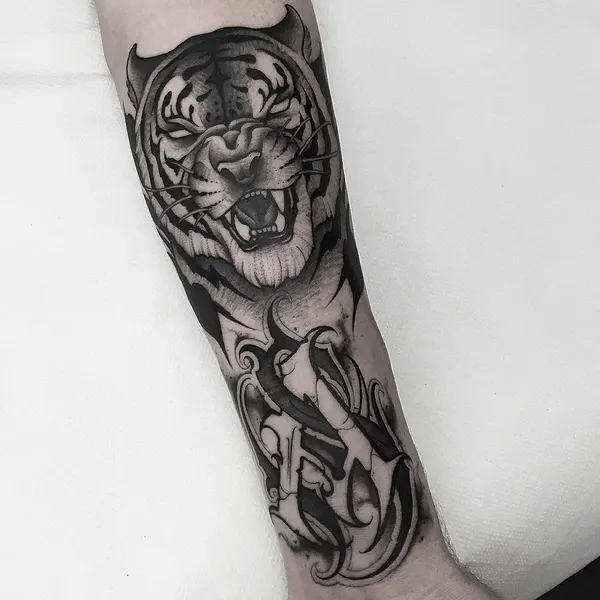 Tiger, 재규어, 일본 호랑이, 중국 호랑이, 한국 호랑이