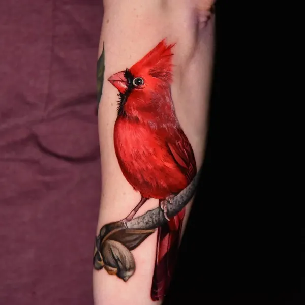 Flower, Animal, Nature, 앵무새