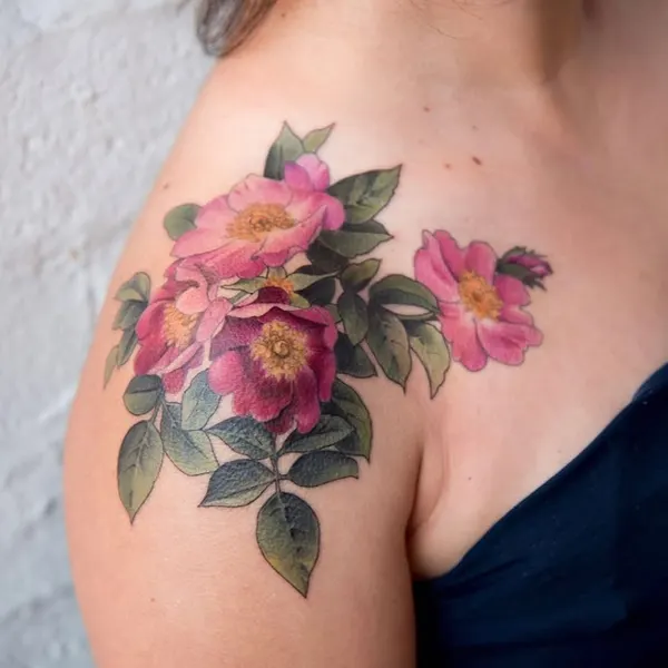 매화, Flower, Rose, Nature, 모란, 목련, 탄생화