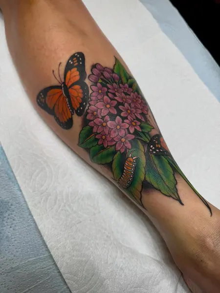 Nature, Animal