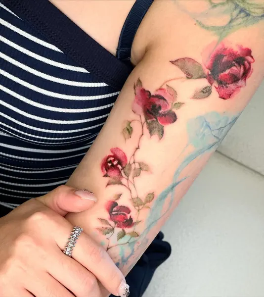 Flower, Rose, 꽃 배경