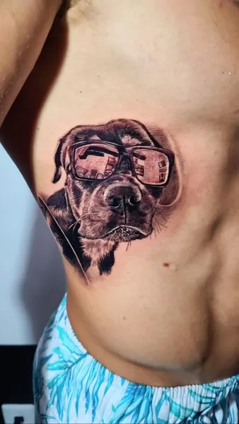 Animal