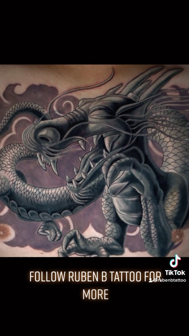 Dragon, 드래곤 라이더, 중국 용, 한국 용