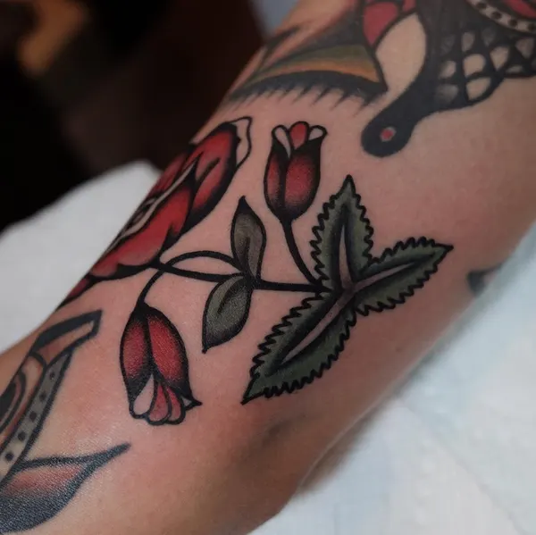 Flower, Rose