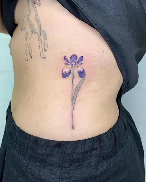 백합, Flower, 난초, 아이리스
