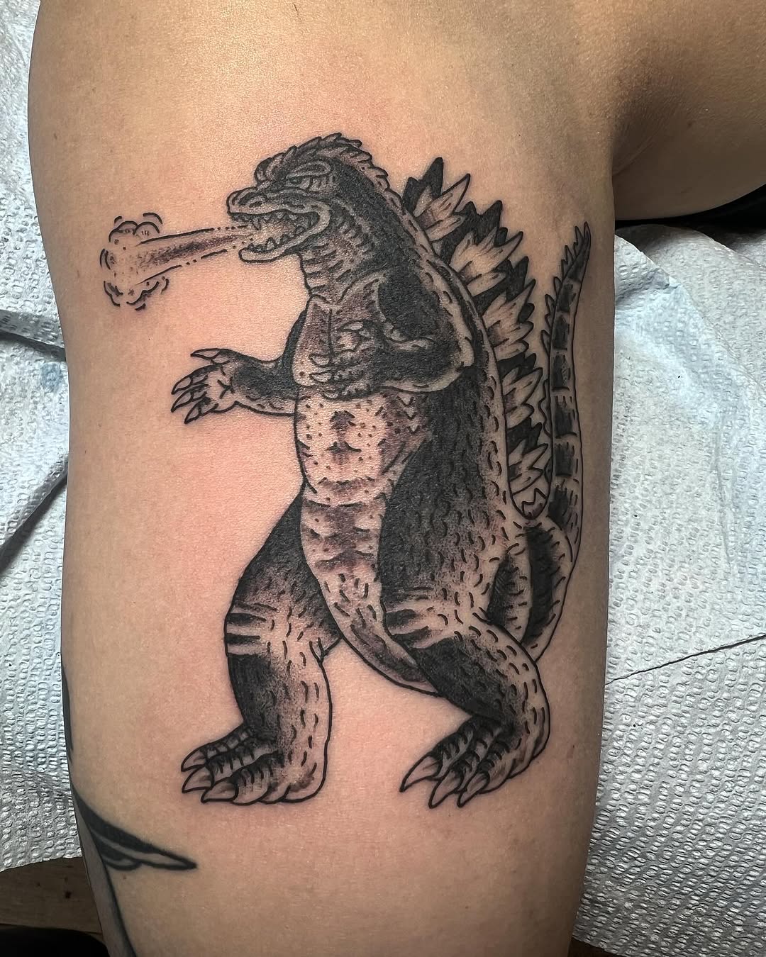Dragon, 악어