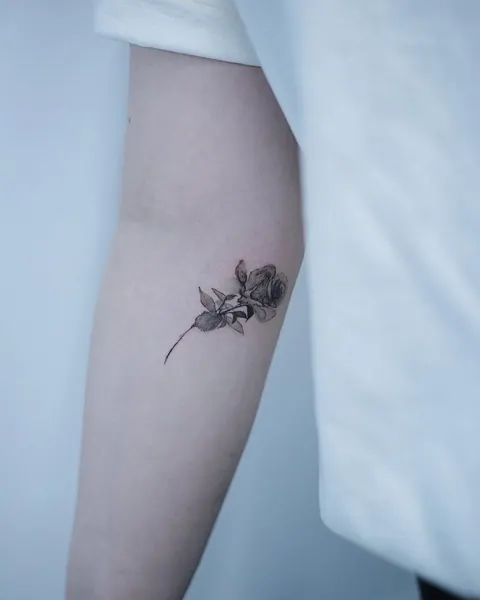 Flower, Rose, 개미, 매미, 전갈, 딱정벌레, Mini, 향수, 잠자리