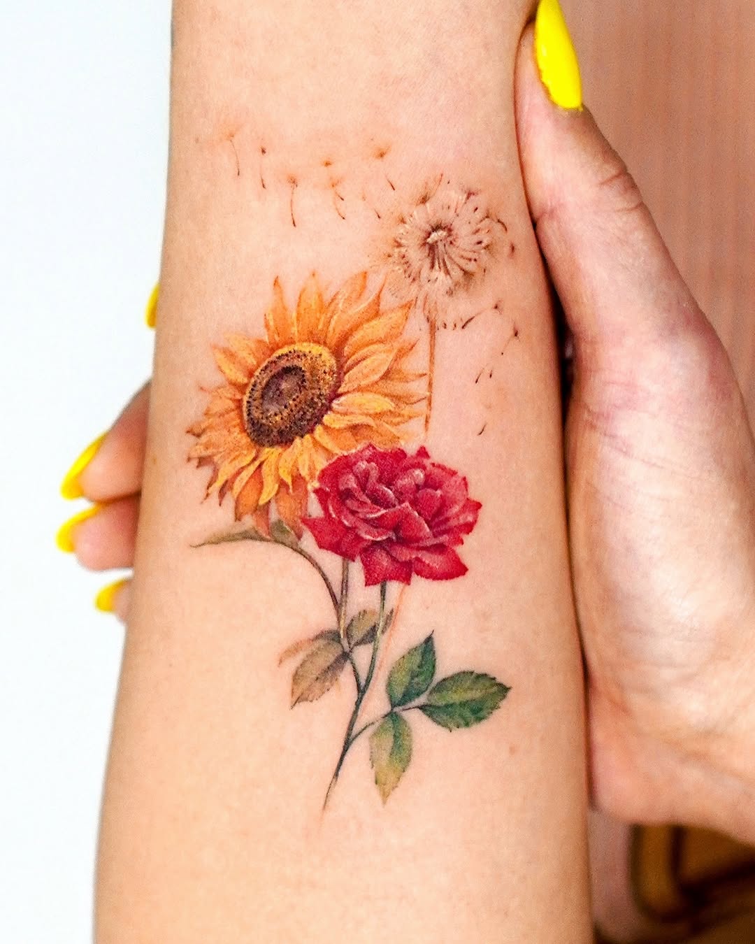 Flower, 해바라기, 데이지