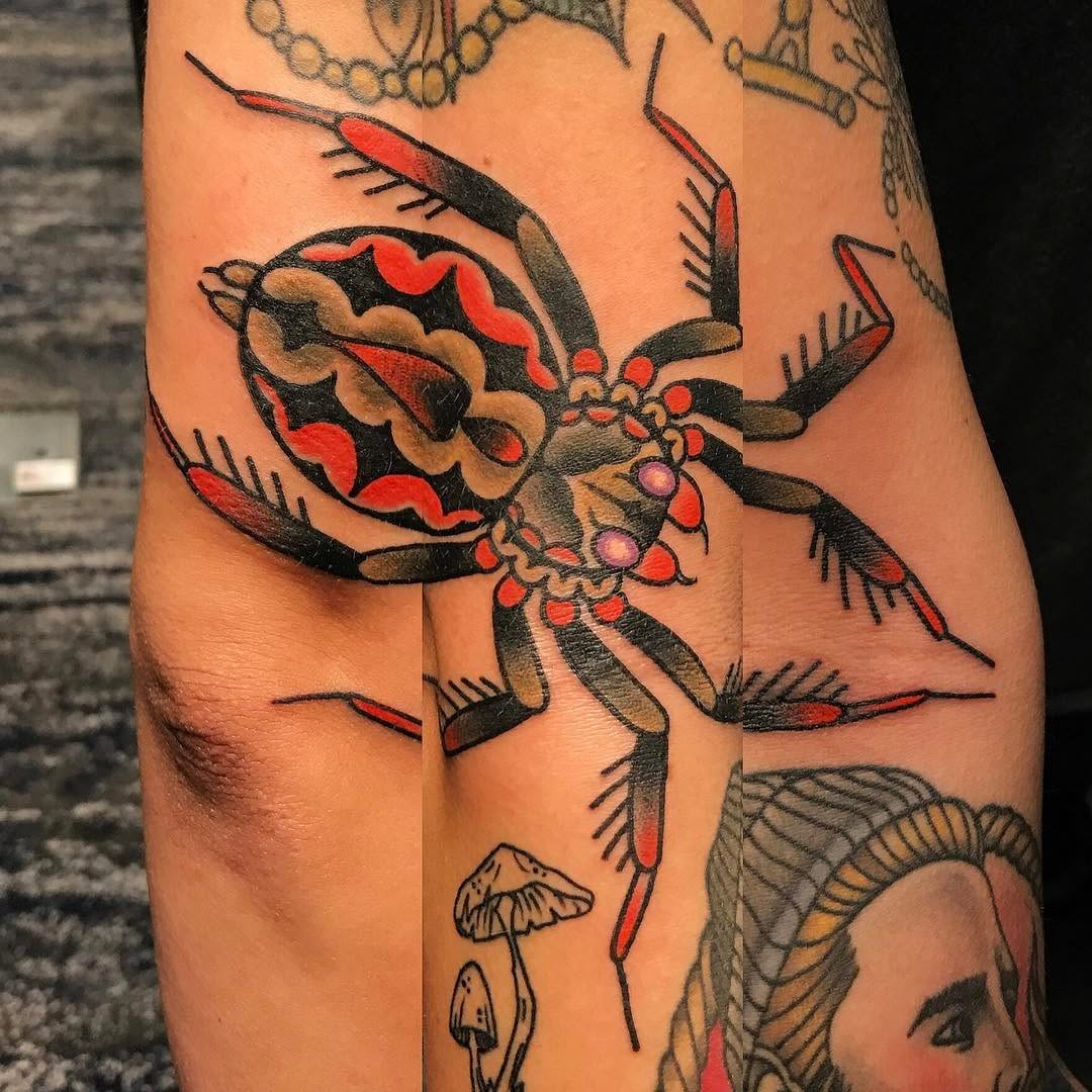 Animal, 게