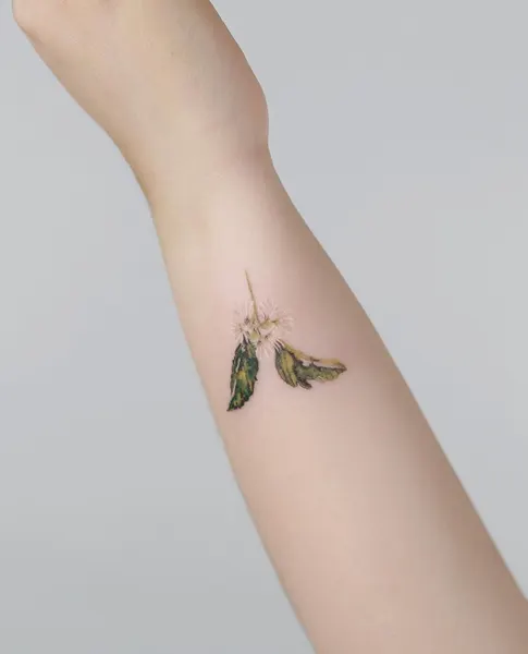 Flower, 개미, 매미, 잠자리, 전갈, 지네