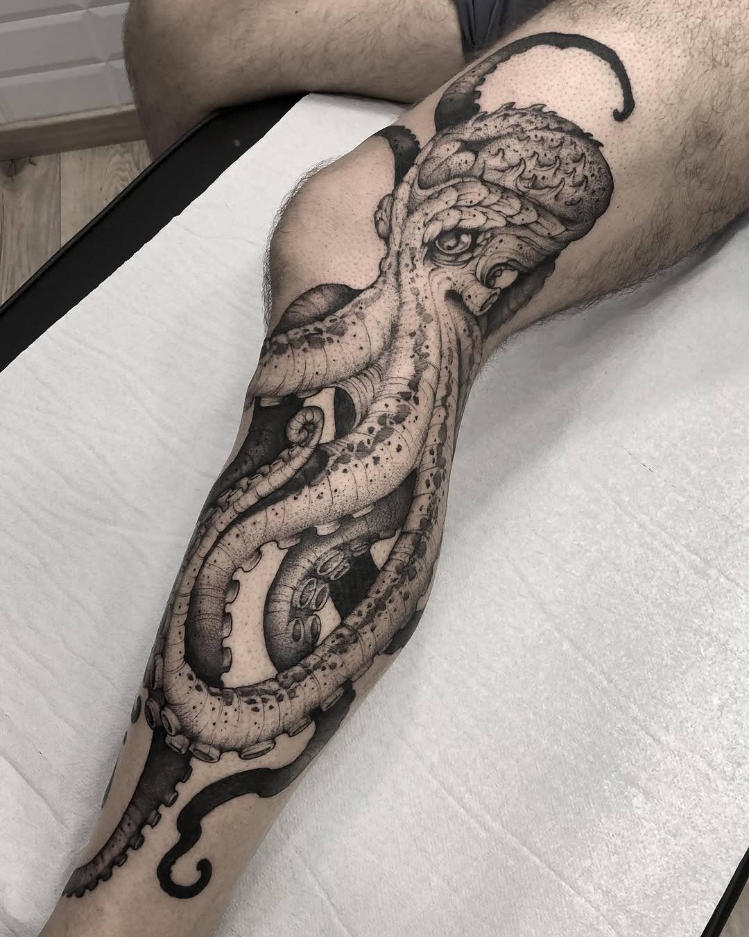 Animal