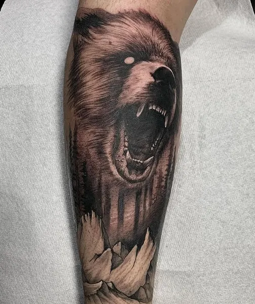 Animal, 곰