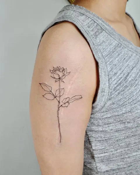 Flower, Rose