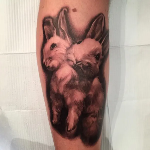 Animal, 토끼