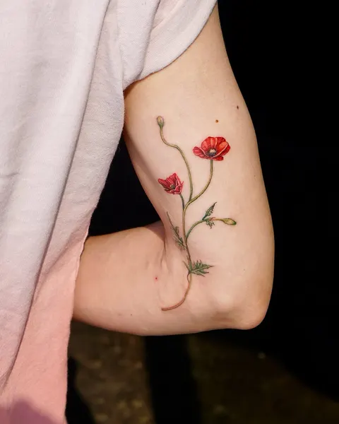 Flower, Rose, 양귀비