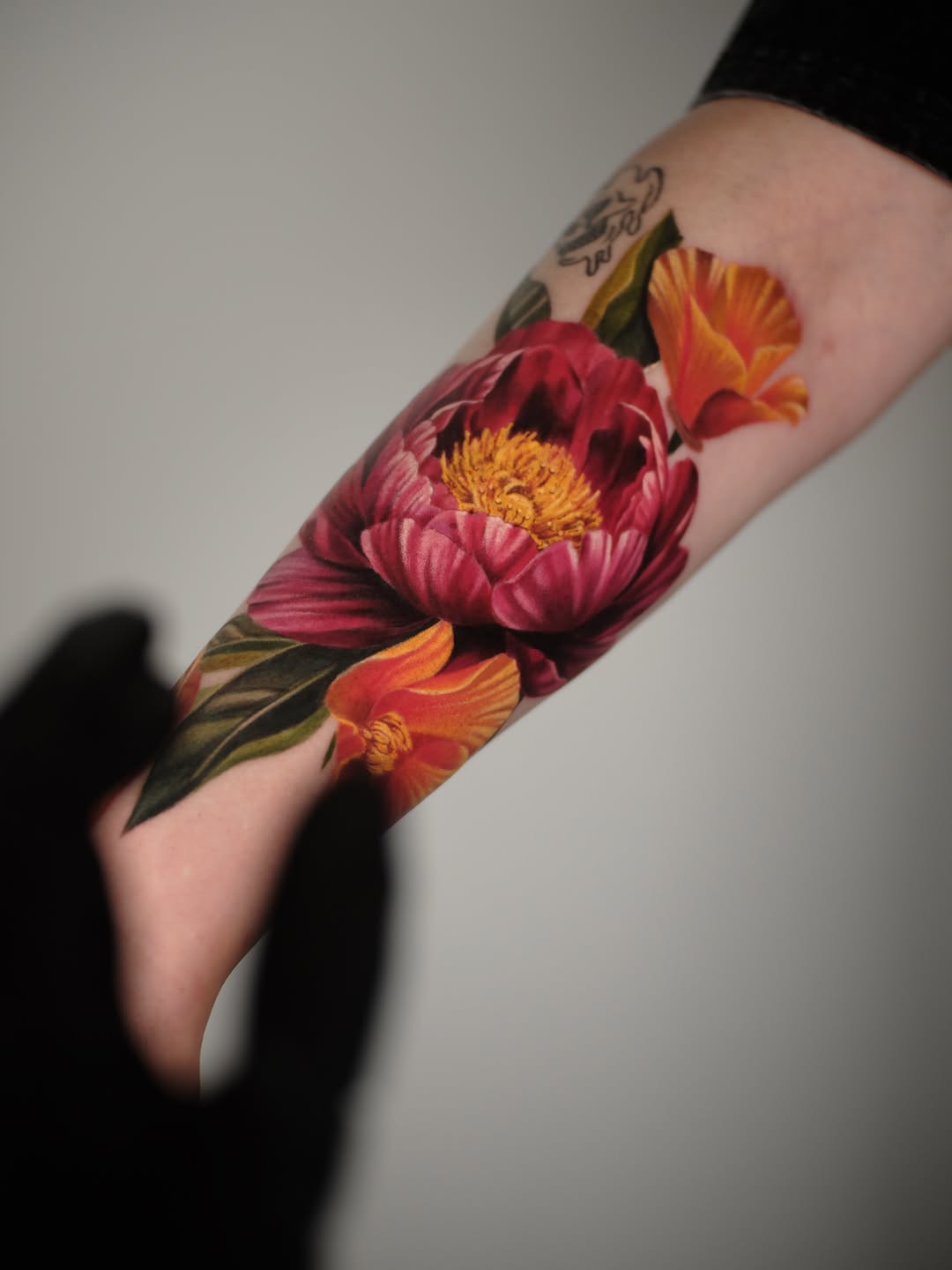 Flower, Rose, Nature, Dragon