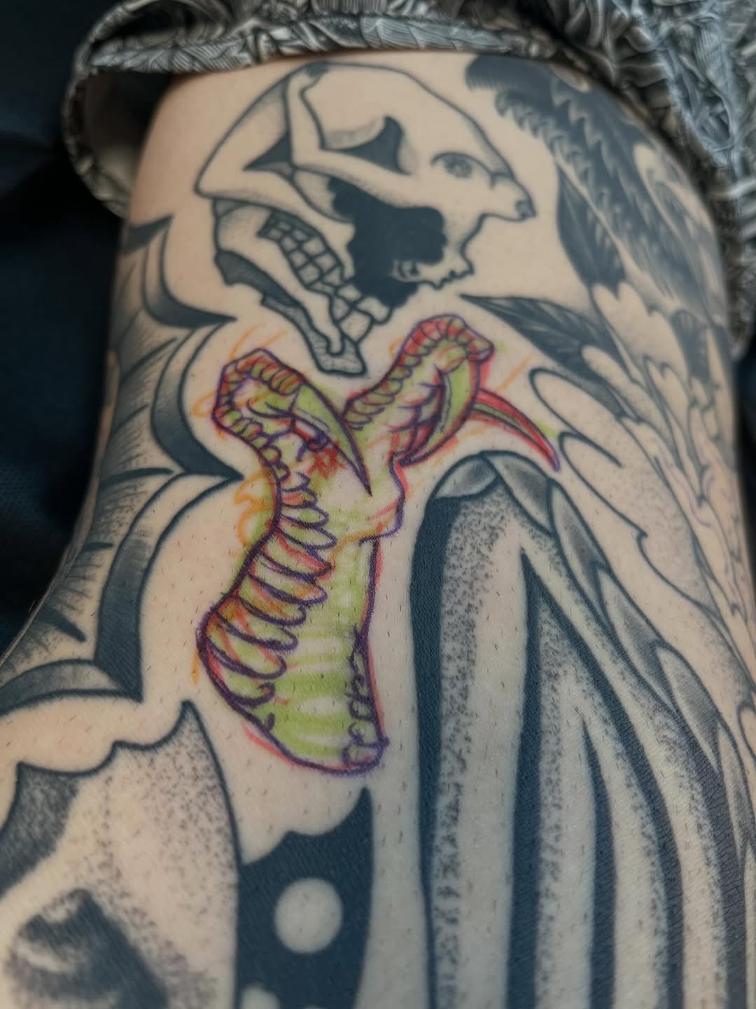 Dragon