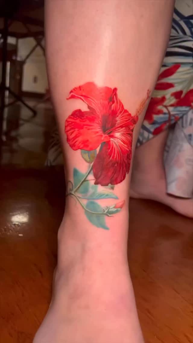 Flower, Nature, 양귀비