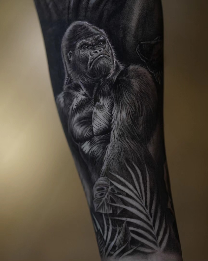 Animal, Tiger, 고릴라