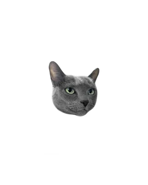 고양이, 여우 가면