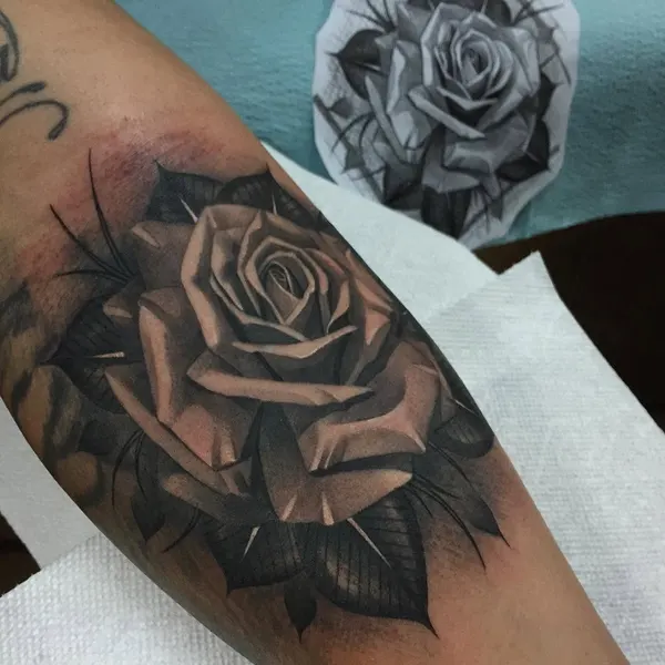 Flower, Rose