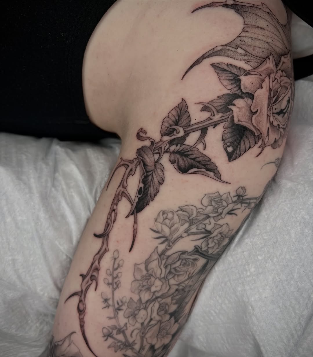 Flower, Rose