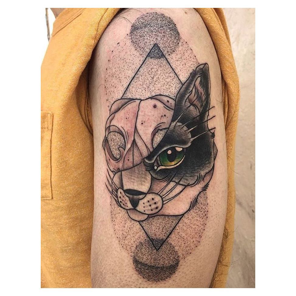 Animal, Tiger