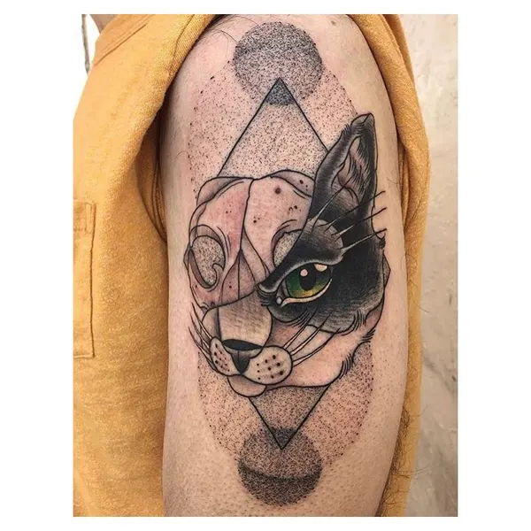 Animal, Tiger