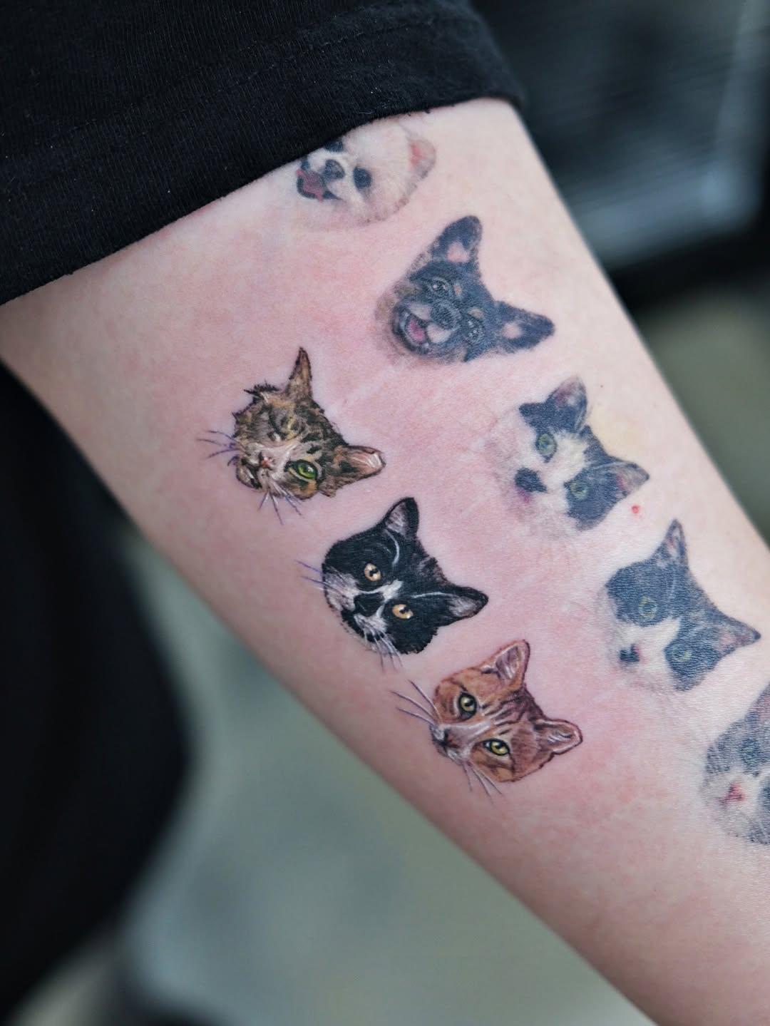tattooist_yammy
