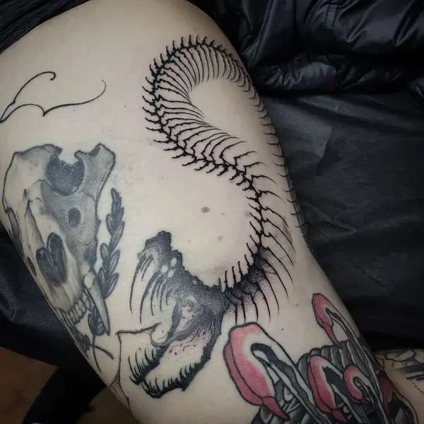 Dragon