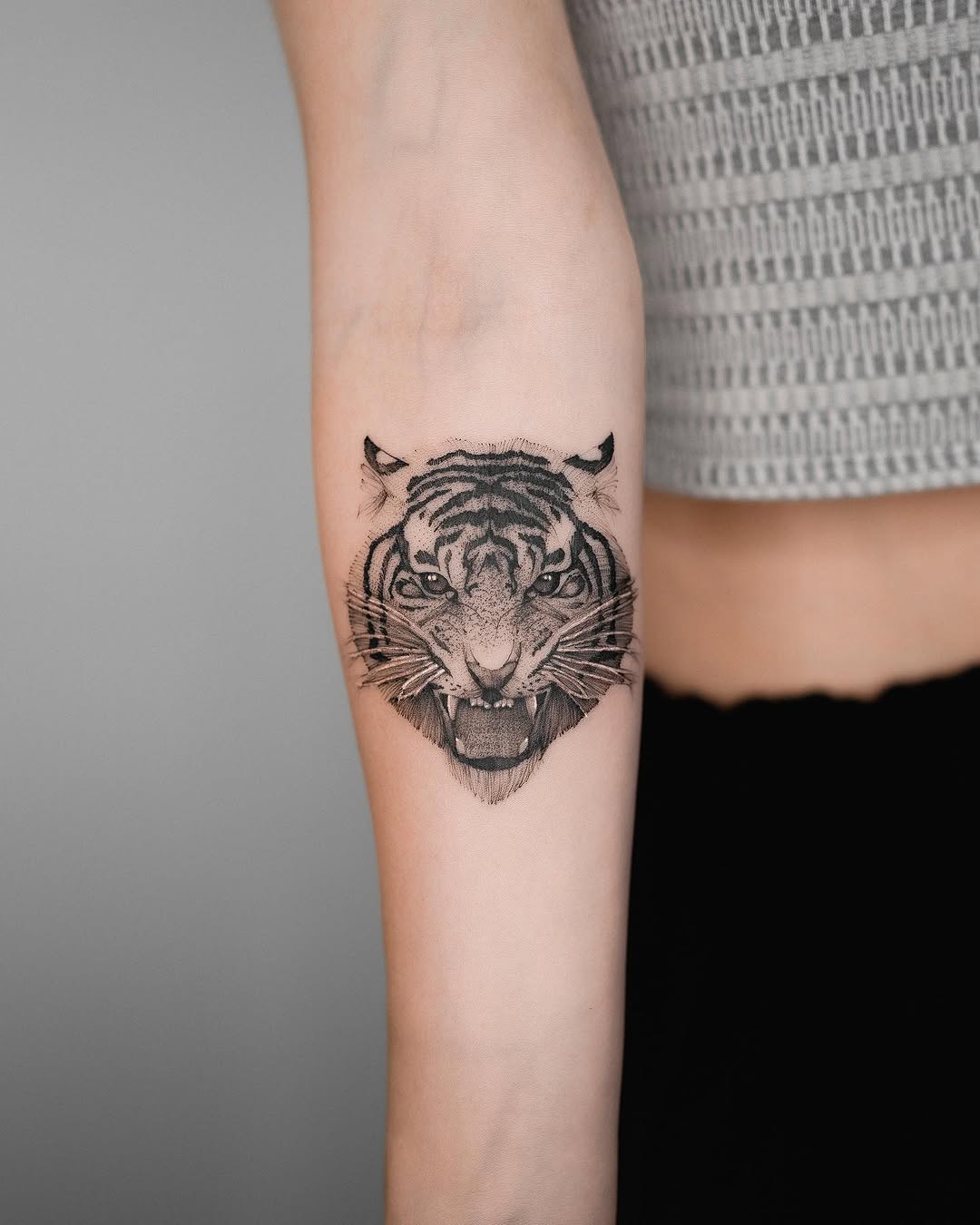Tiger, Animal, 치타