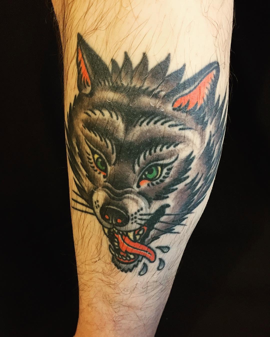Animal, Tiger