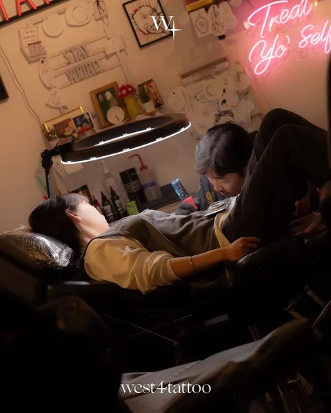 폐, 해부학