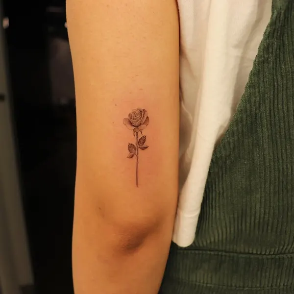Flower, Rose