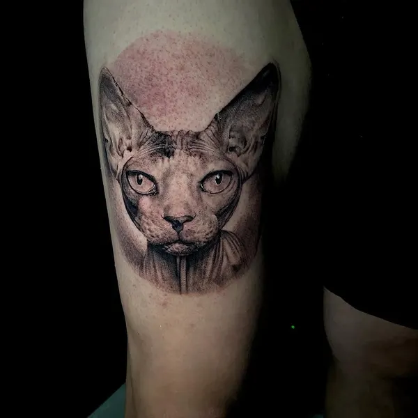 Animal