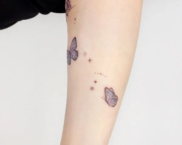 Nature, Animal, 나비, 라벤더