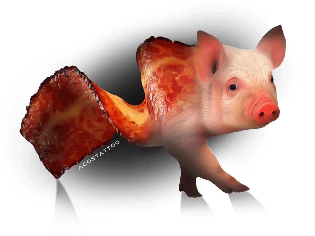 Animal, 돼지