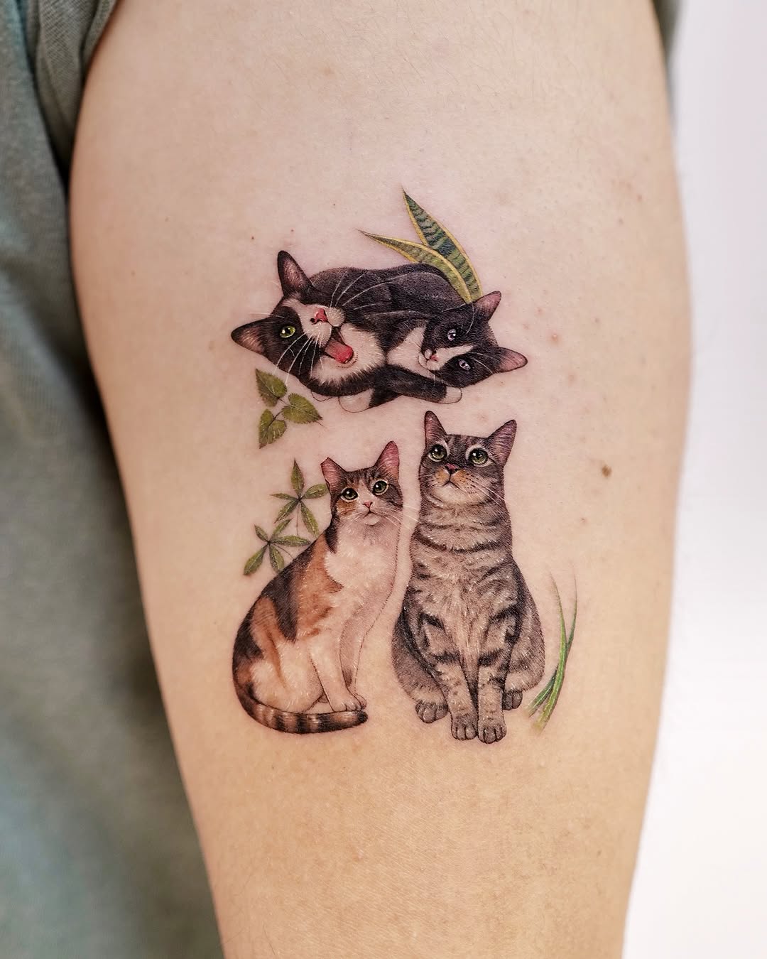 paw.tattoo