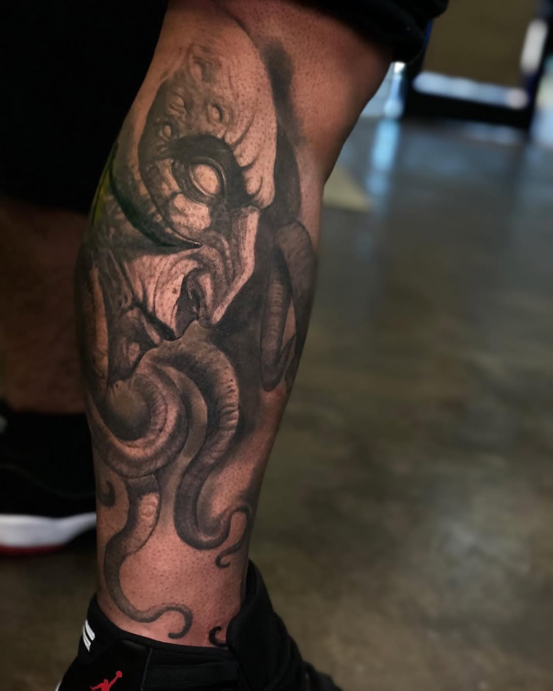 Dragon, Animal